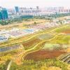 宿迁泗洪县城北污水处理厂尾水湿地公园生机盎然