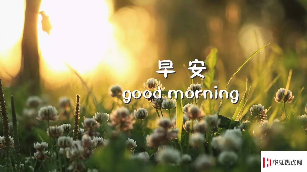 生活小知识:早安的调皮句子有哪些?
