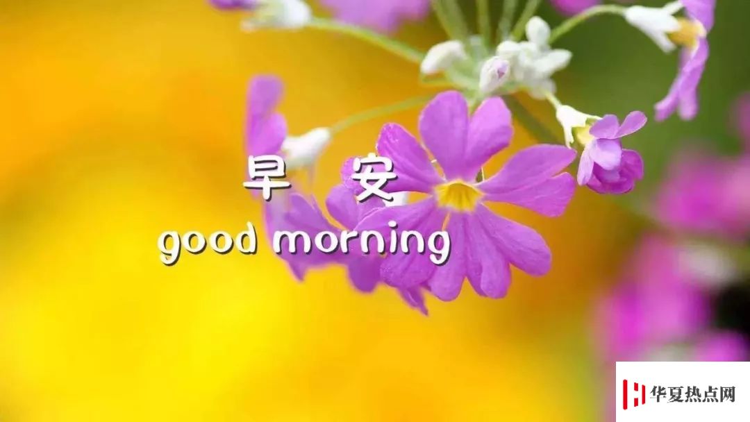 生活小知识:早安的调皮句子有哪些?