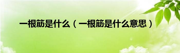 一根筋是什么（一根筋是什么意思）