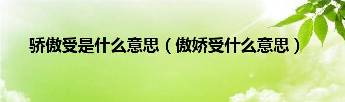 骄傲受是什么意思（傲娇受什么意思）