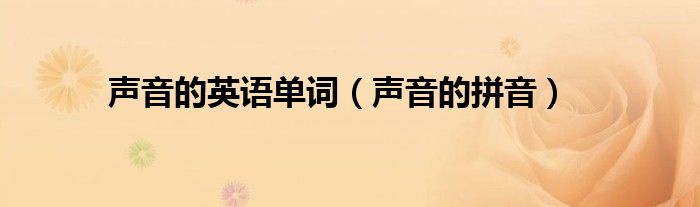 声音的英语单词（声音的拼音）