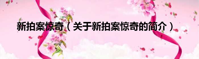 新拍案惊奇（关于新拍案惊奇的简介）