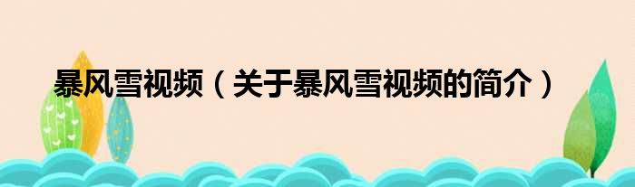 暴风雪视频（关于暴风雪视频的简介）