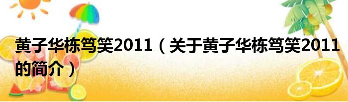 黄子华栋笃笑2011（关于黄子华栋