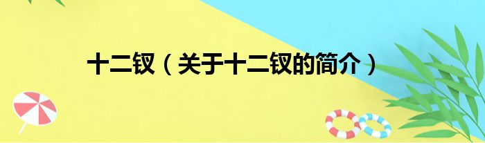 十二钗（关于十二钗的简介）