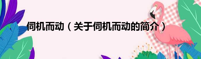 伺机而动（关于伺机而动的简介）
