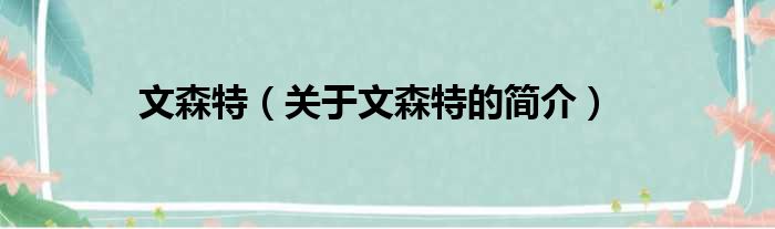 文森特（关于文森特的简介）