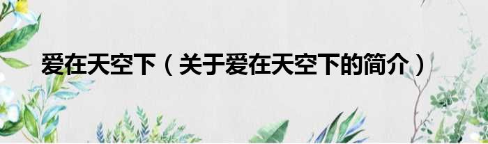 爱在天空下（关于爱在天空下的简介）