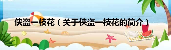 侠盗一枝花（关于侠盗一枝花的简介）
