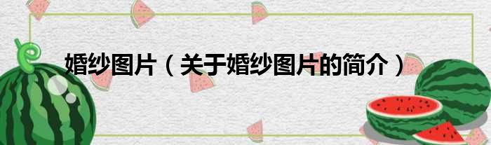 婚纱图片（关于婚纱图片的简介）