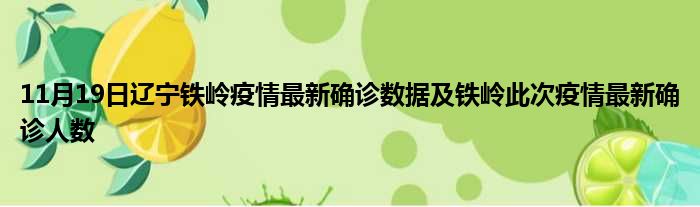 11月19日辽宁铁岭疫情最新确诊数据及铁岭此次疫情最新确诊人数