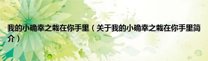 我的小确幸之栽在你手里（关于我的小