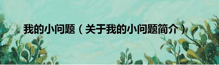 我的小问题（关于我的小问题简介）