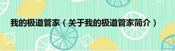 我的极道管家（关于我的极道管家简介