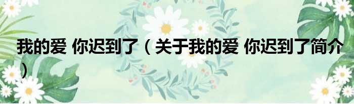 我的爱 你迟到了（关于我的爱 你迟