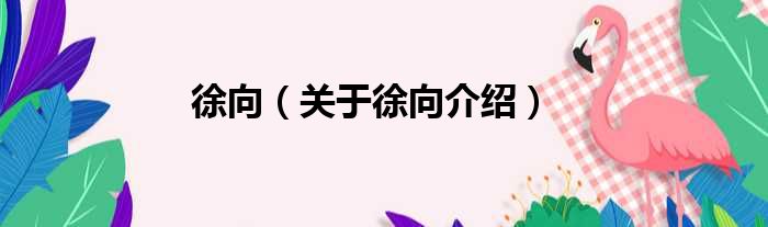 徐向 关于徐向介绍(图1)