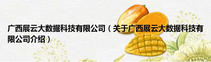广西展云大数据科技有限公司 关于广西展云大数据科技有限公司介绍(图1)