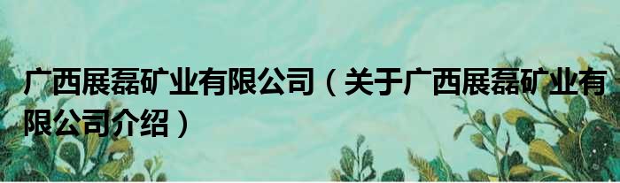 广西展磊矿业有限公司 关于广西展磊矿业有限公司介绍(图1)