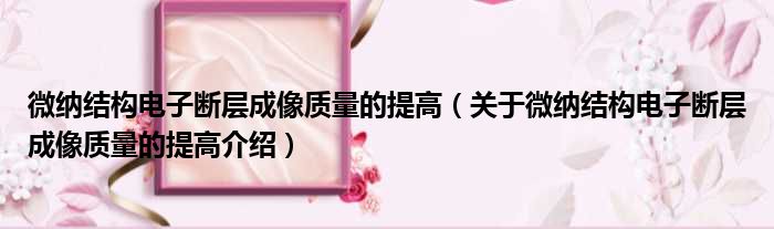 微纳结构电子断层成像质量的提高 关于微纳结构电子断层成像质量的提高介绍(图1)