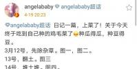 Angelababy分享自己与种菜的经历