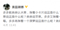 黄磊在微博发文分享多多教弟弟认水果的趣事