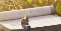 创新学校正在寻找引领变革的学校