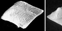 新的3D打印技术可以使变形机器人更加实用