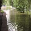 受持续降雨和长江来水增多影响 我省河湖水位普涨