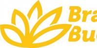 佛陀被Inc 5000提名为橙县发展最快的营销公司