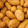 生活小知识：土豆放的时间长了发绿了，能吃吗？
