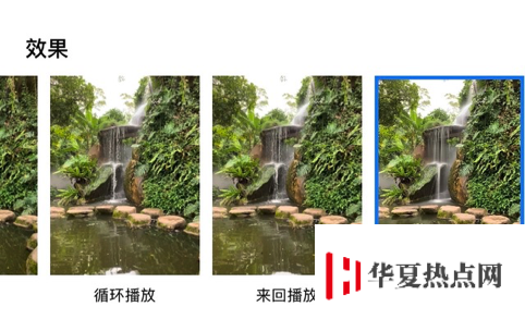 专业摄影师分享：苹果 iPhone XR 的拍摄小技巧