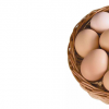 生活小知识：鸡蛋经水洗后为什么容易变坏？
