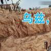 生活小知识：乌兹永远的神是什么梗？