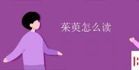 教育资讯:茱萸怎么读