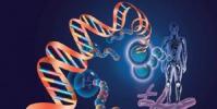 教育资讯:生物科学专业就业方向及就业前景分析