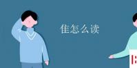 教育资讯:隹怎么读