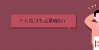 教育资讯:十大热门专业是哪些