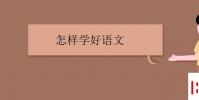 教育资讯:怎样学好语文 如何提高语文成绩