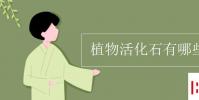 教育资讯:植物活化石有哪些