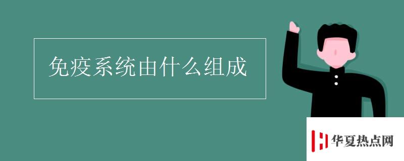 免疫系统由什么组成