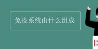 教育资讯:免疫系统由什么组成