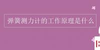 教育资讯:弹簧测力计的工作原理是什么