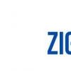 Zigazoo将人为调节功能添加到安全功能套件中