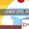 小鸡宝宝知识问答：为什么酒喝多了走路容易东倒西歪