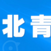 双11当天全国处理快递6亿件