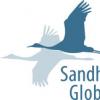 Sandhills Global第二季度市场更新为行业提供了可行的见解