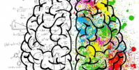 艺术还是科学哪个更具创造力
