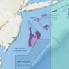 纽约海上风电行业的成功取决于与扇贝渔业的合作