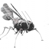 设计类蝇机器人的深度学习方法